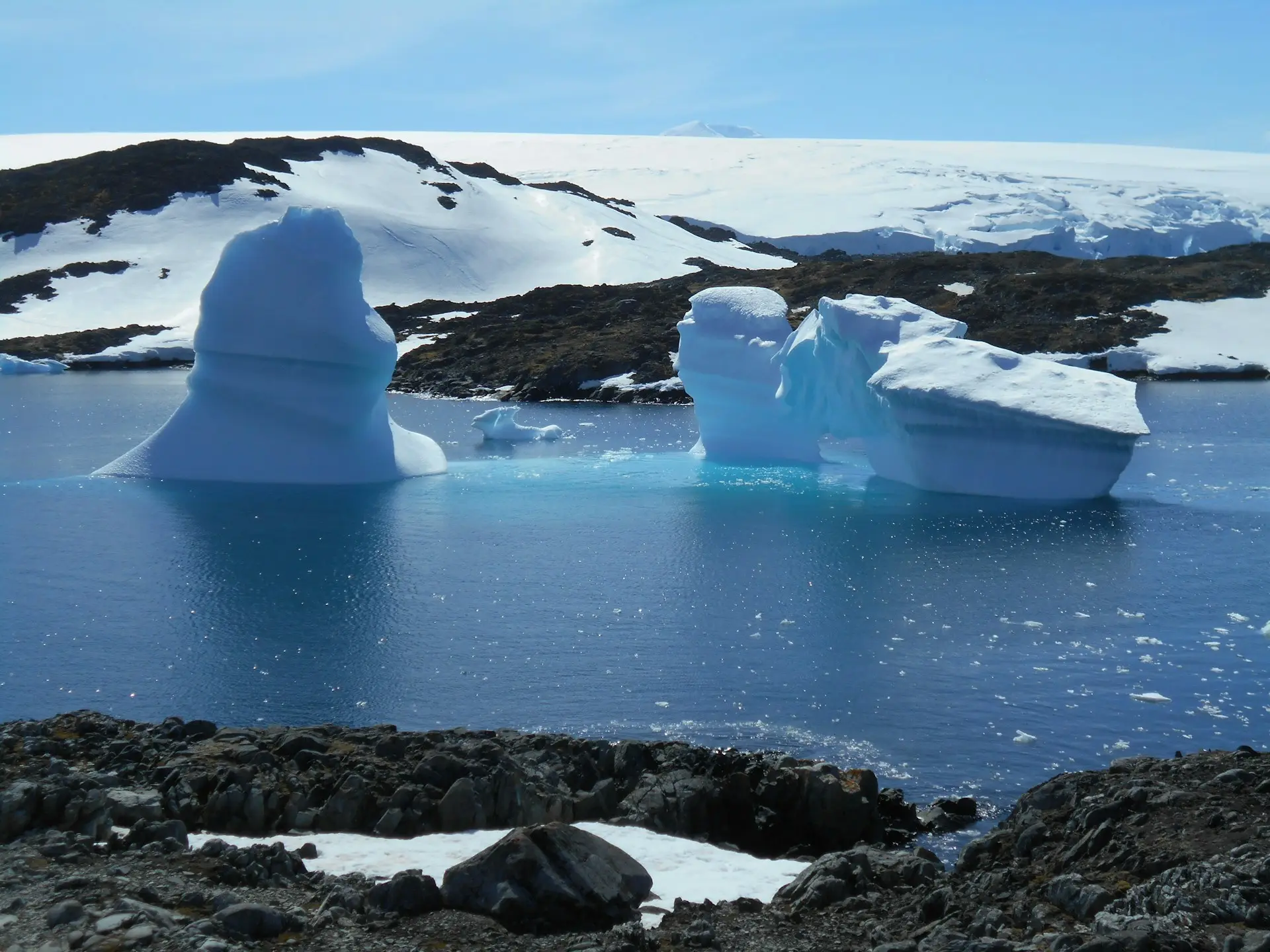 Sahara is not the world's largest desert, but Antarctica?